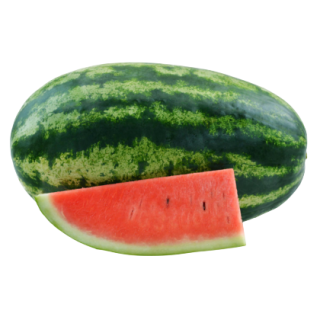 Suprit-2 Watermelon From Known You Seed (India)-KYI